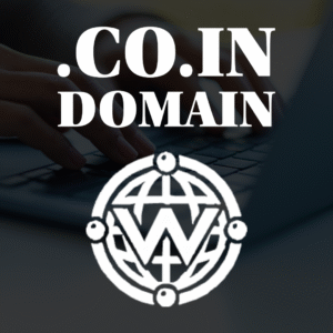.co.in Domain Name