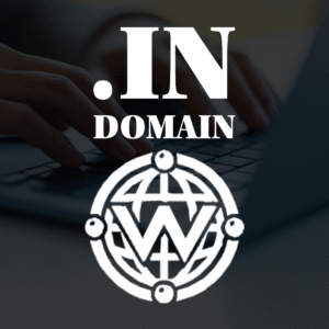 .in Domain Name